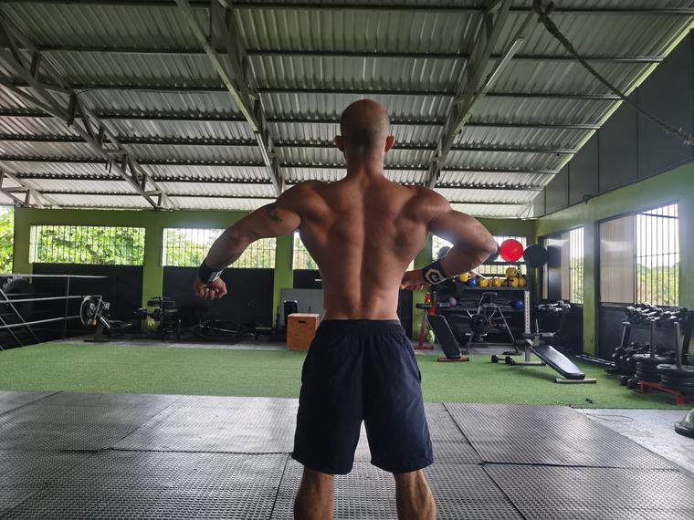 Muscular banner image