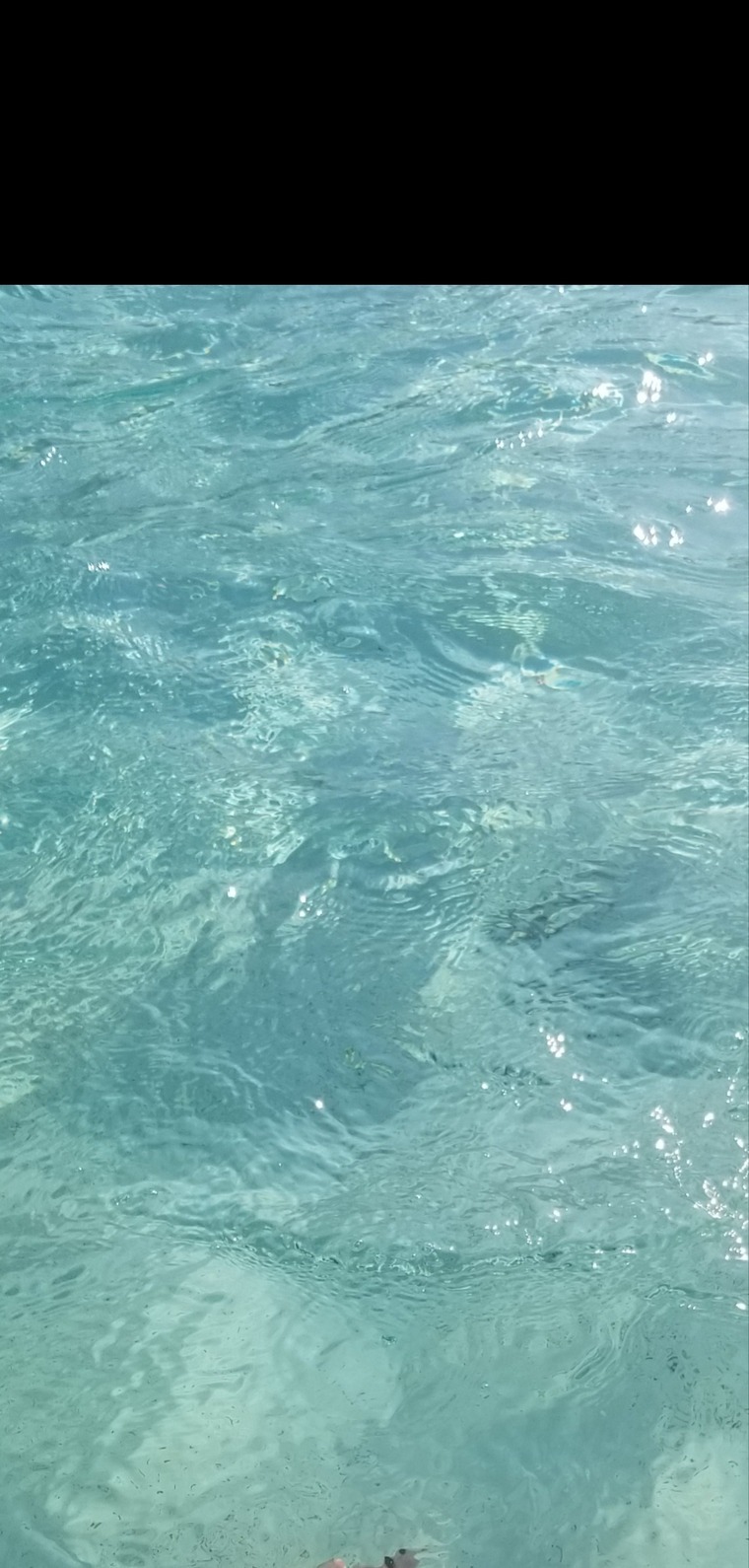 GypsyJean banner image