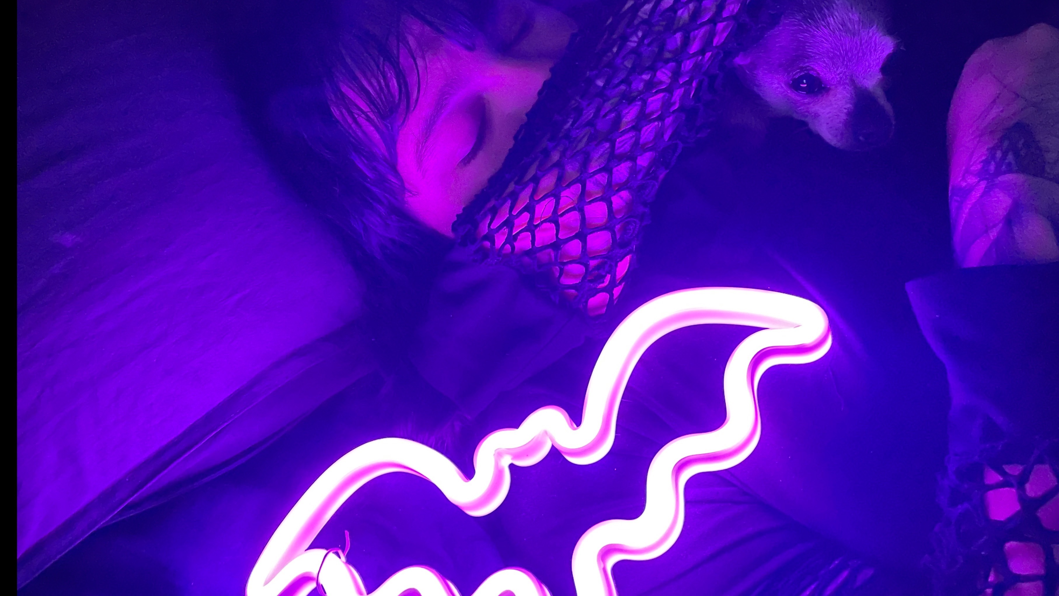 Ellen Baca banner image