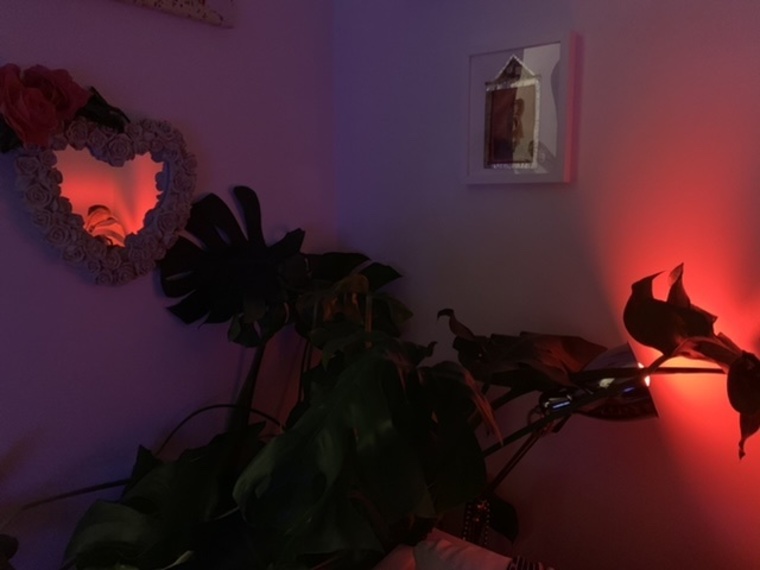 Rose cover image