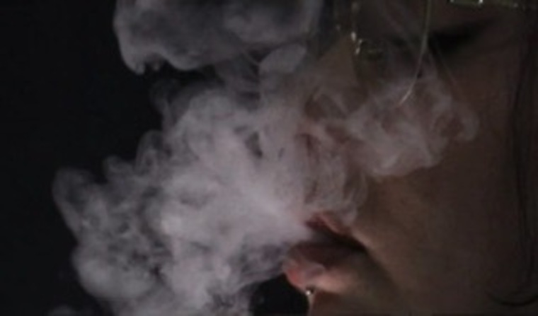 H.traicionera cover image