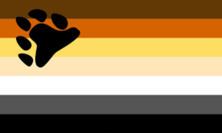 HairyAsianBear cover image