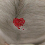 Finnish hairy navel daddy avatar