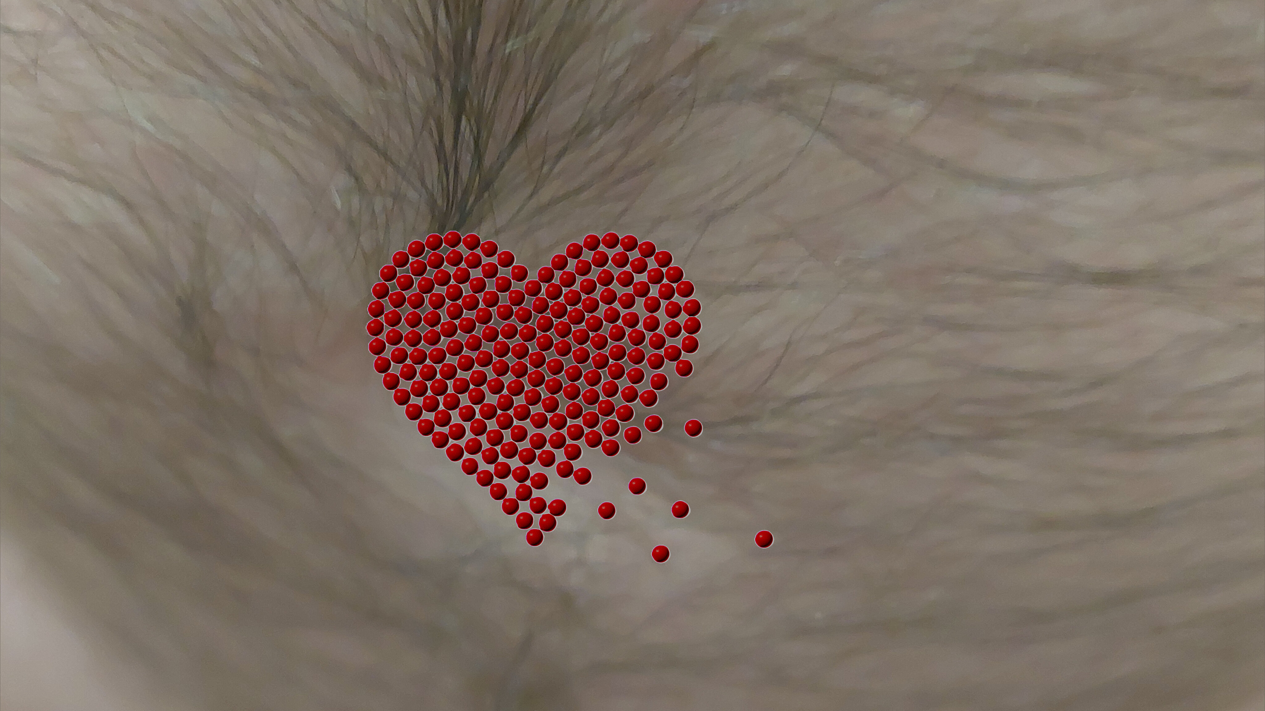 Finnish hairy navel daddy banner image
