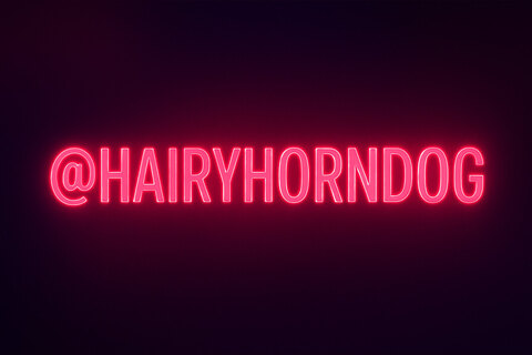 HairyHornDog cover image