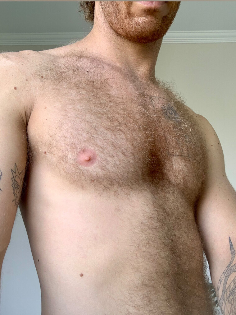 Hairy Hung Ginger cover image