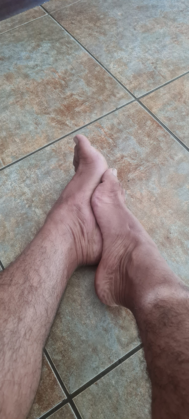 hairylatinfeet cover image