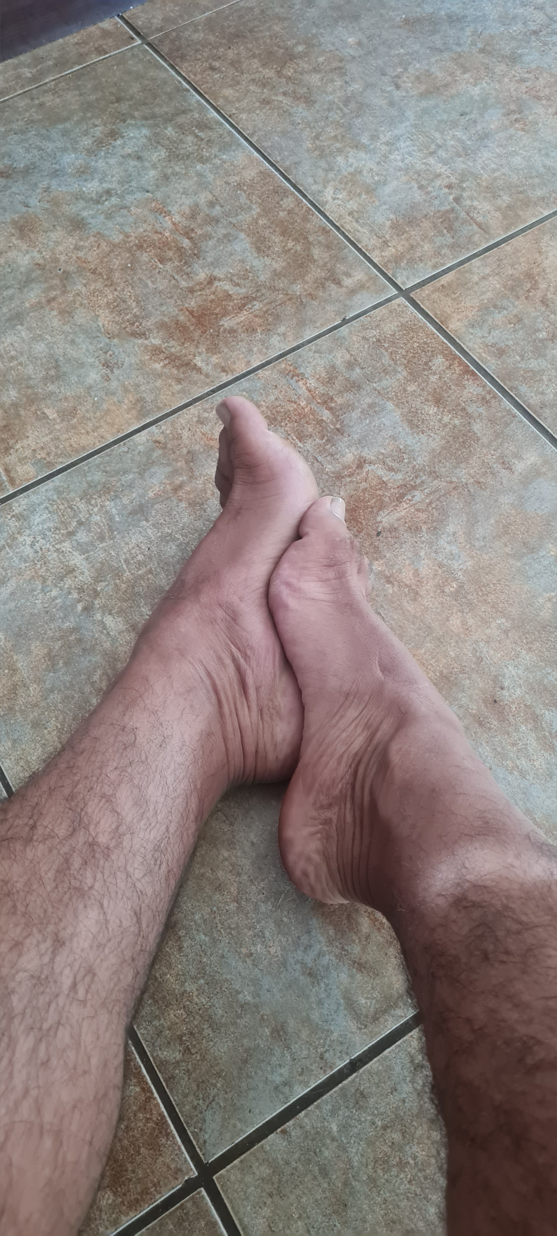 hairylatinfeet banner image