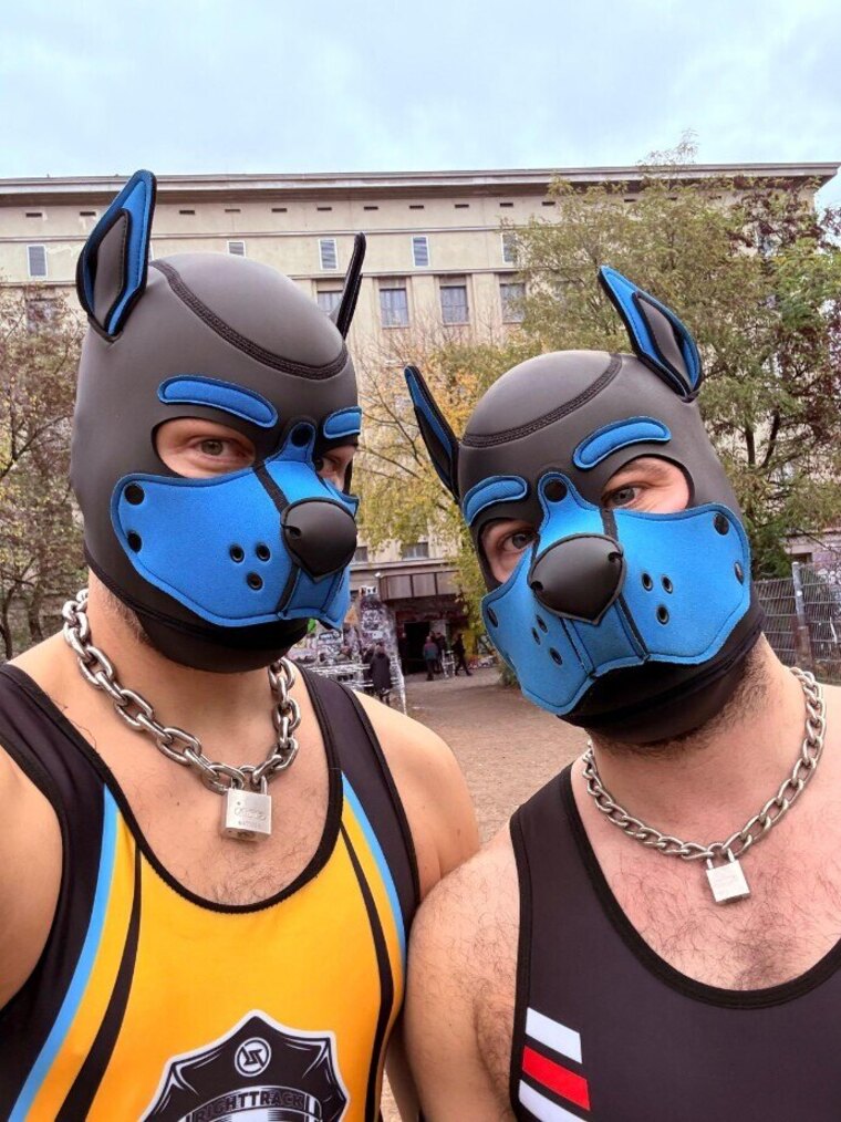 HairyPups cover image