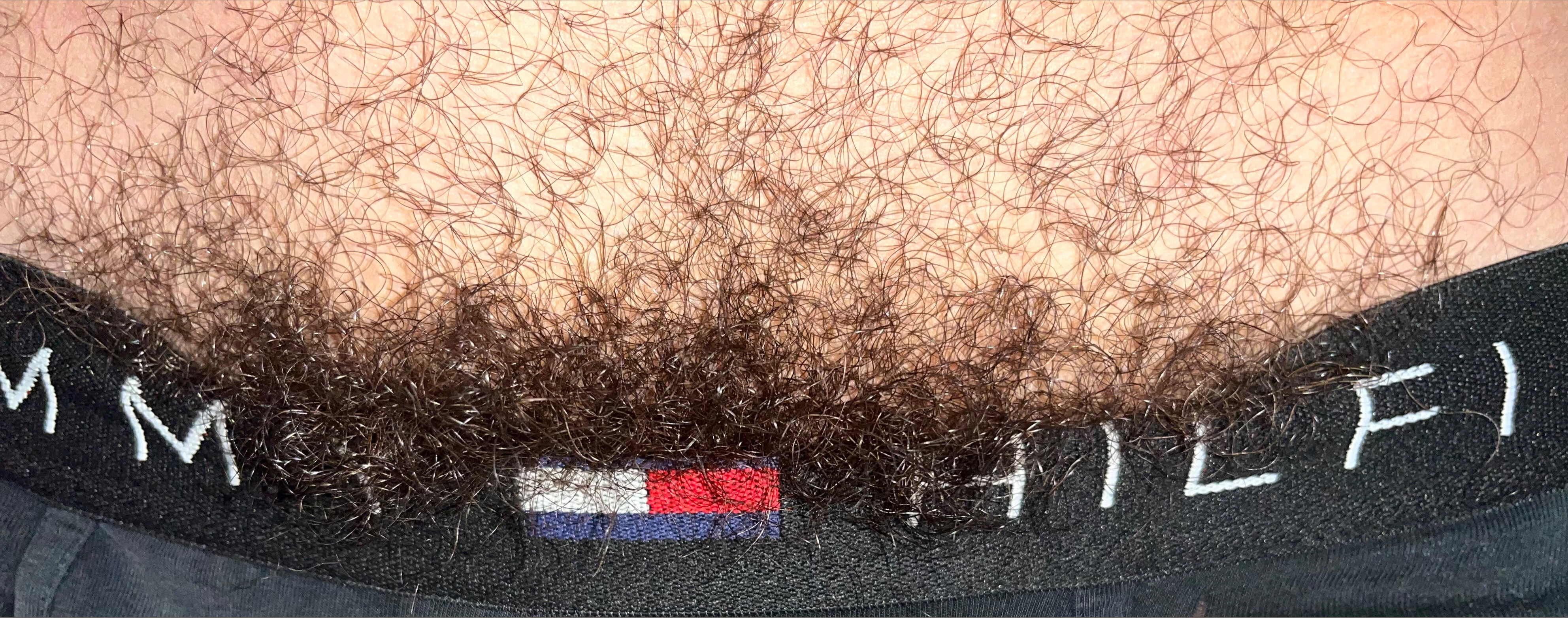 Hairy Guy banner image