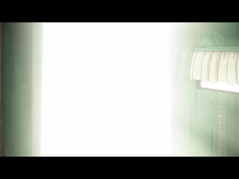Haley banner image