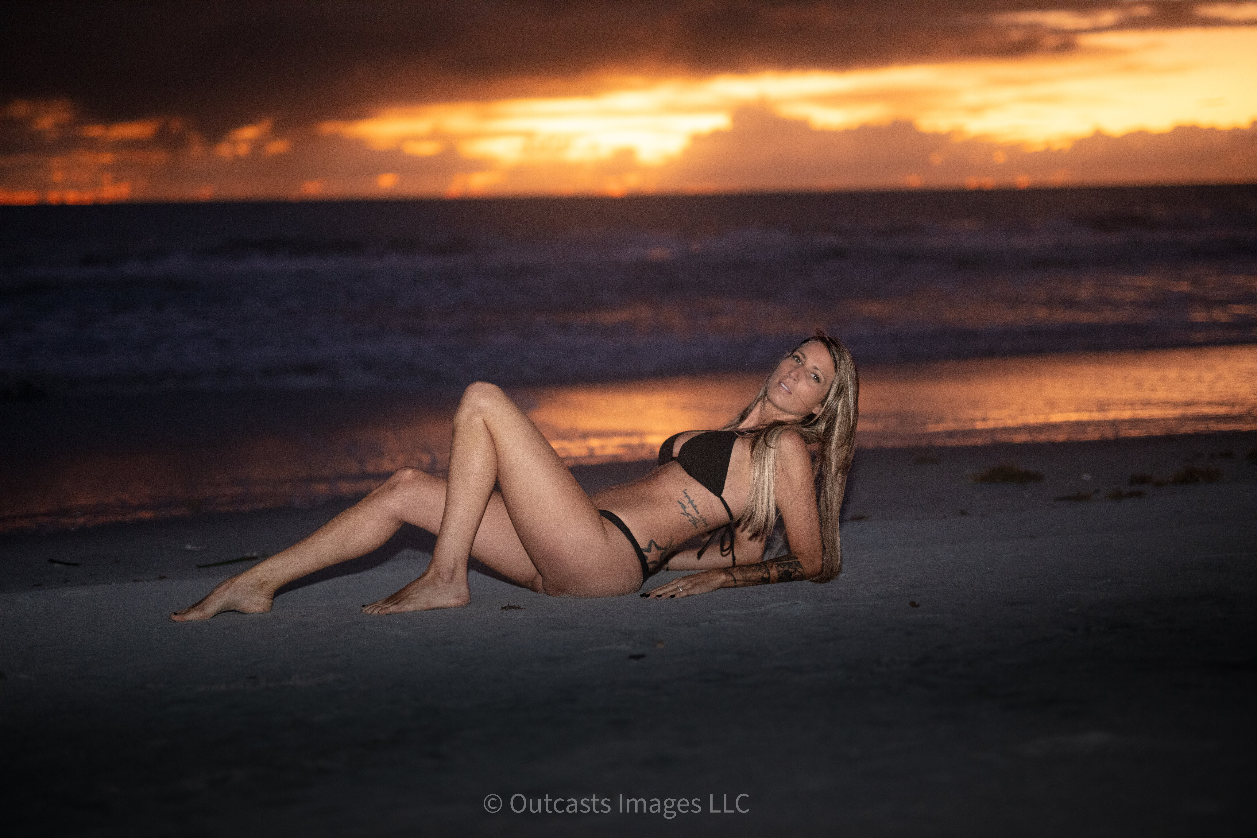 Haleyyfofree banner image