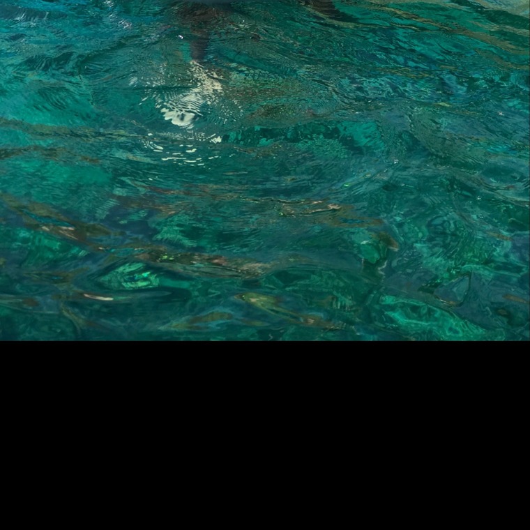 Halieleo cover image