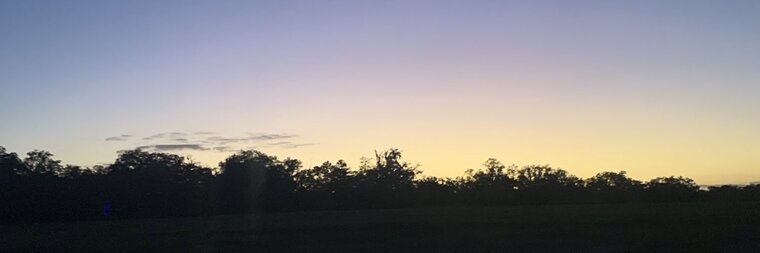 Haliexrenea banner image