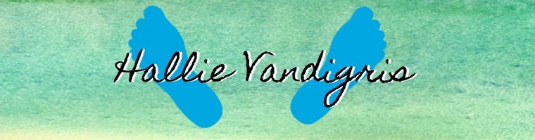 HallieVandigrisPhotos banner image