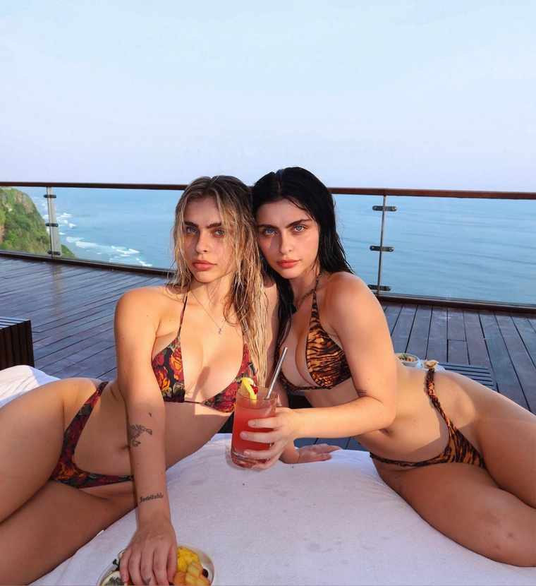 Hamdentwins banner image