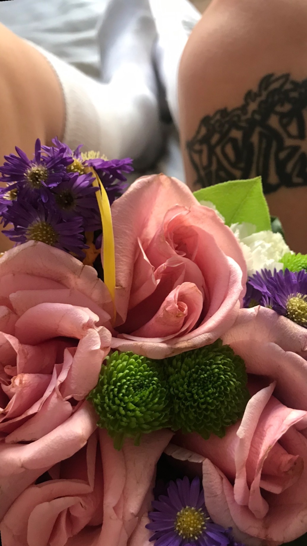 Hania banner image