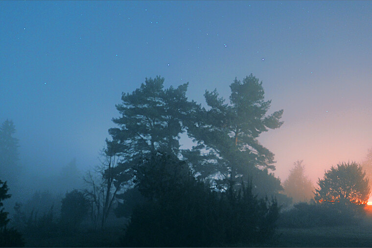 H cover image