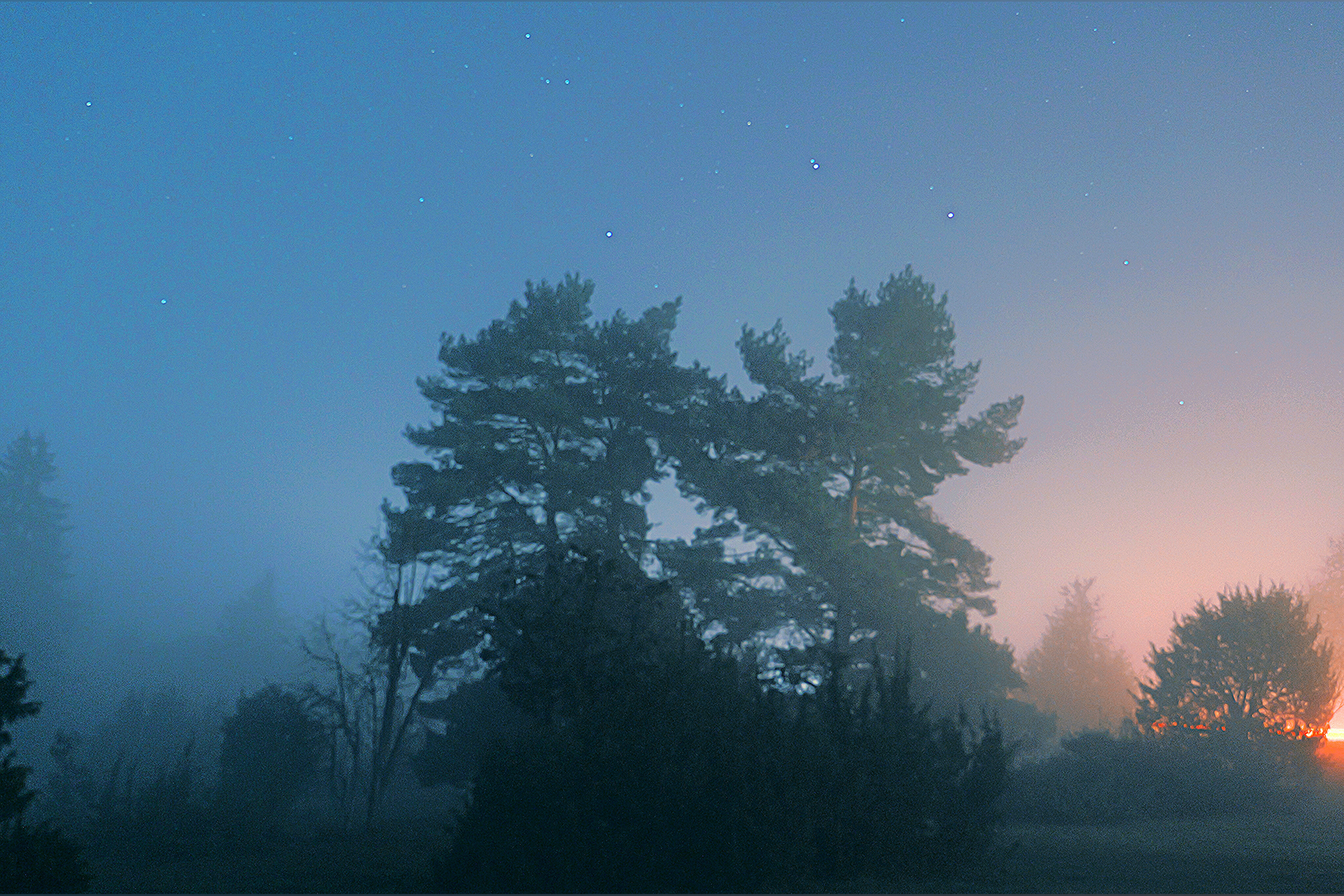 H banner image