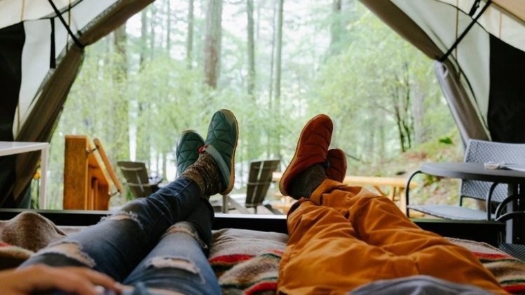Wild Couple cover image