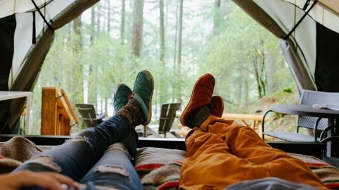 Wild Couple cover image