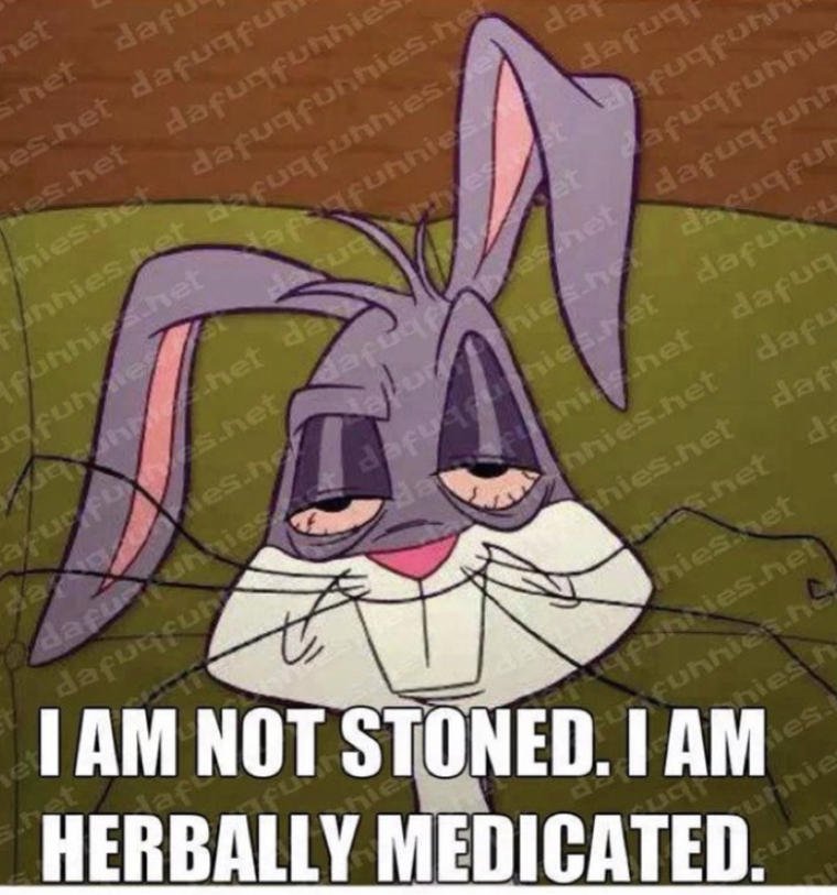 happystoner cover image