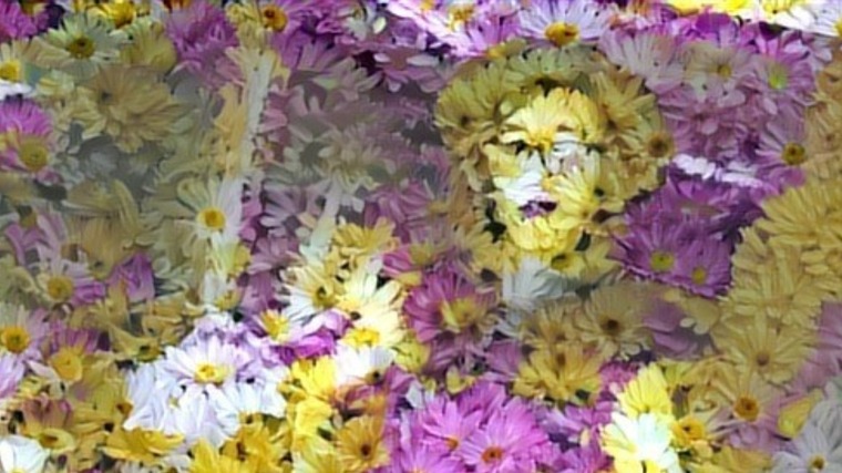 Happythinkins banner image