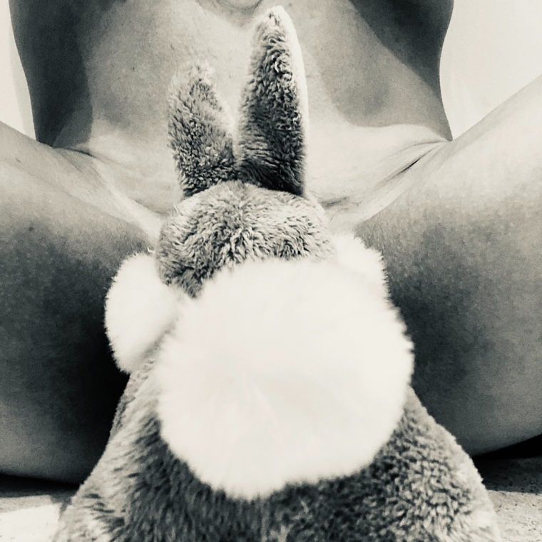 HardCandyBunny banner image