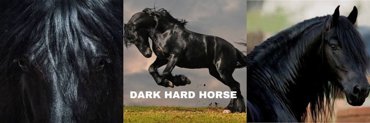 Hard Dark Horse cover image