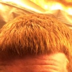 Hard Ginger Cock! avatar
