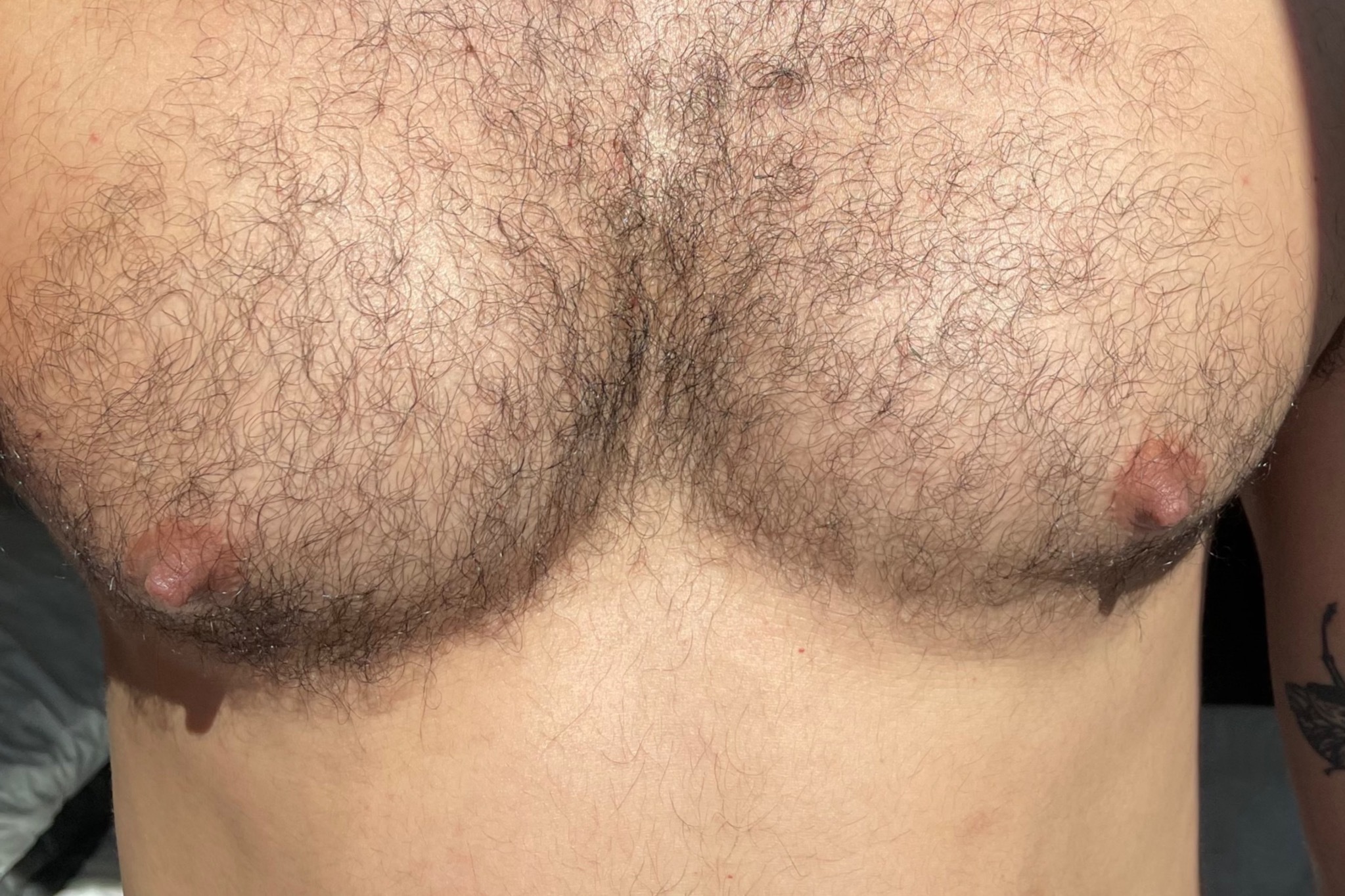 HardKnotNYC banner image