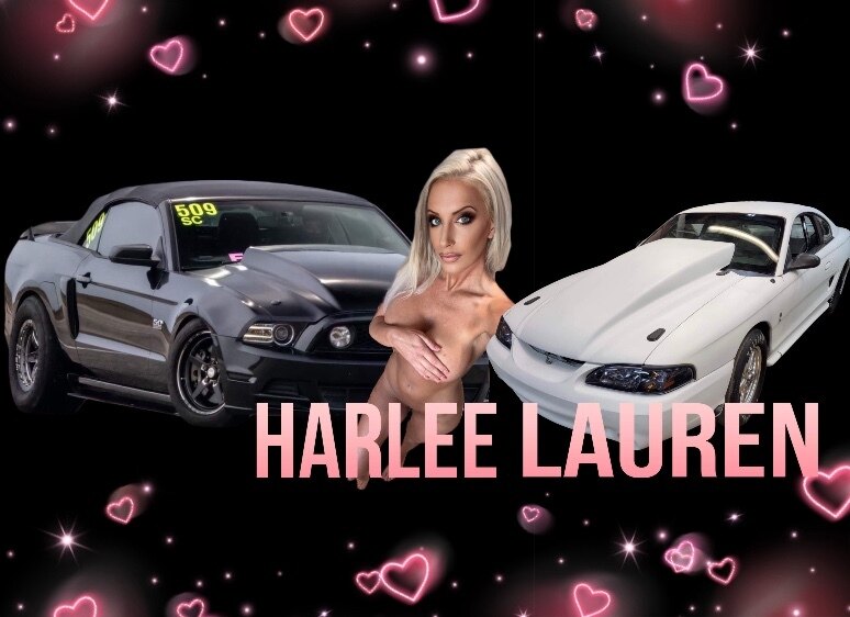 π Harlee Lauren π banner image