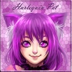 Harlequin Pet avatar