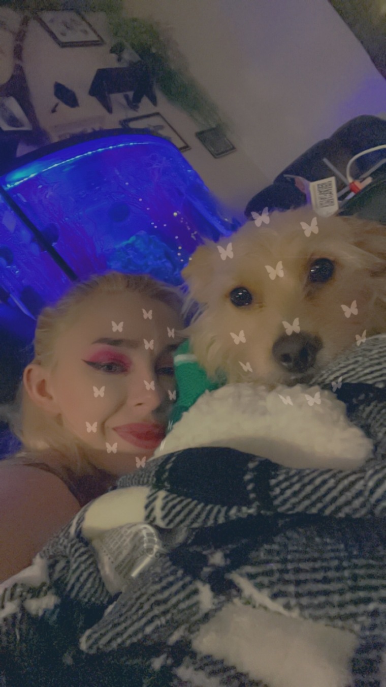 Harley cover image