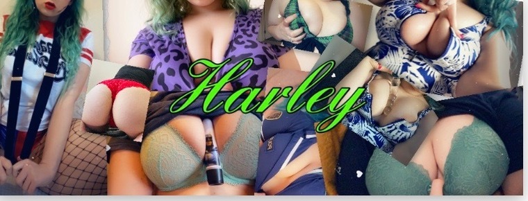 Harley cover image
