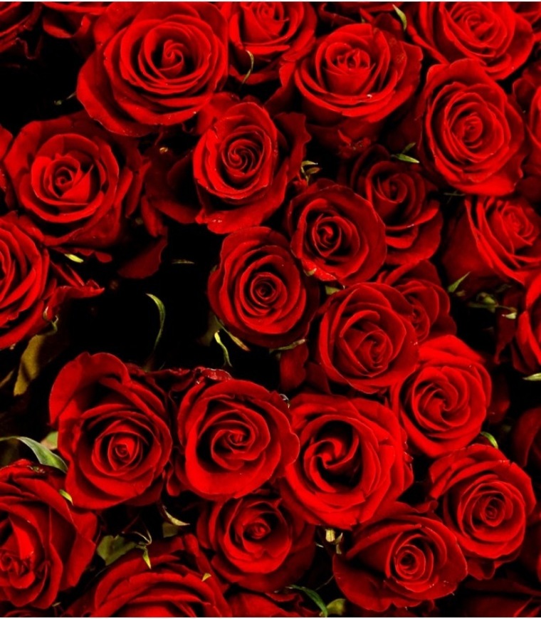 HarmonyFaye cover image