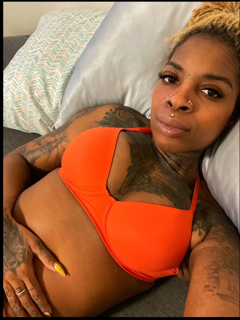 Harper Hollis cover image