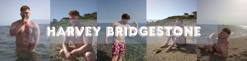 Harvey stonebridge cover image