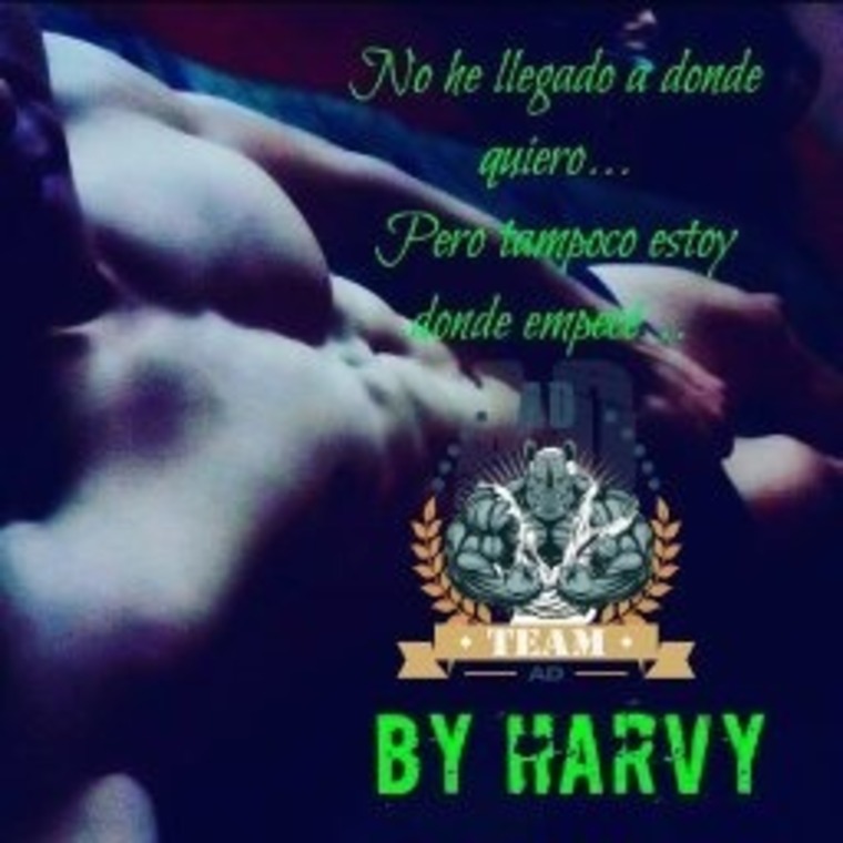 harvy banner image
