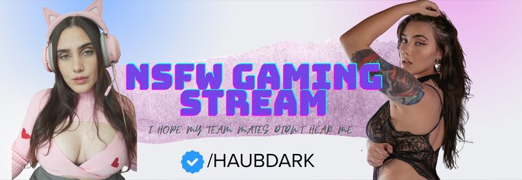 Haub - gaming streams 👾 banner image