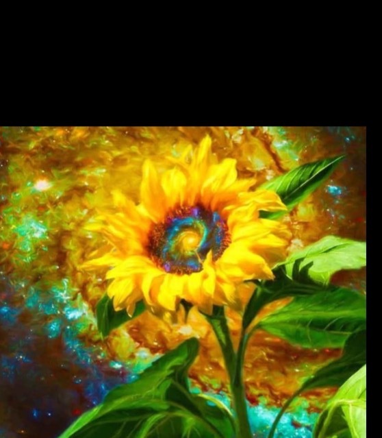 Hawleyhillz banner image