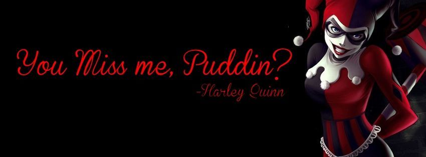 Hayley Quinn banner image