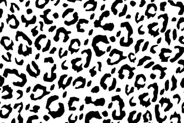 Hayley downey banner image