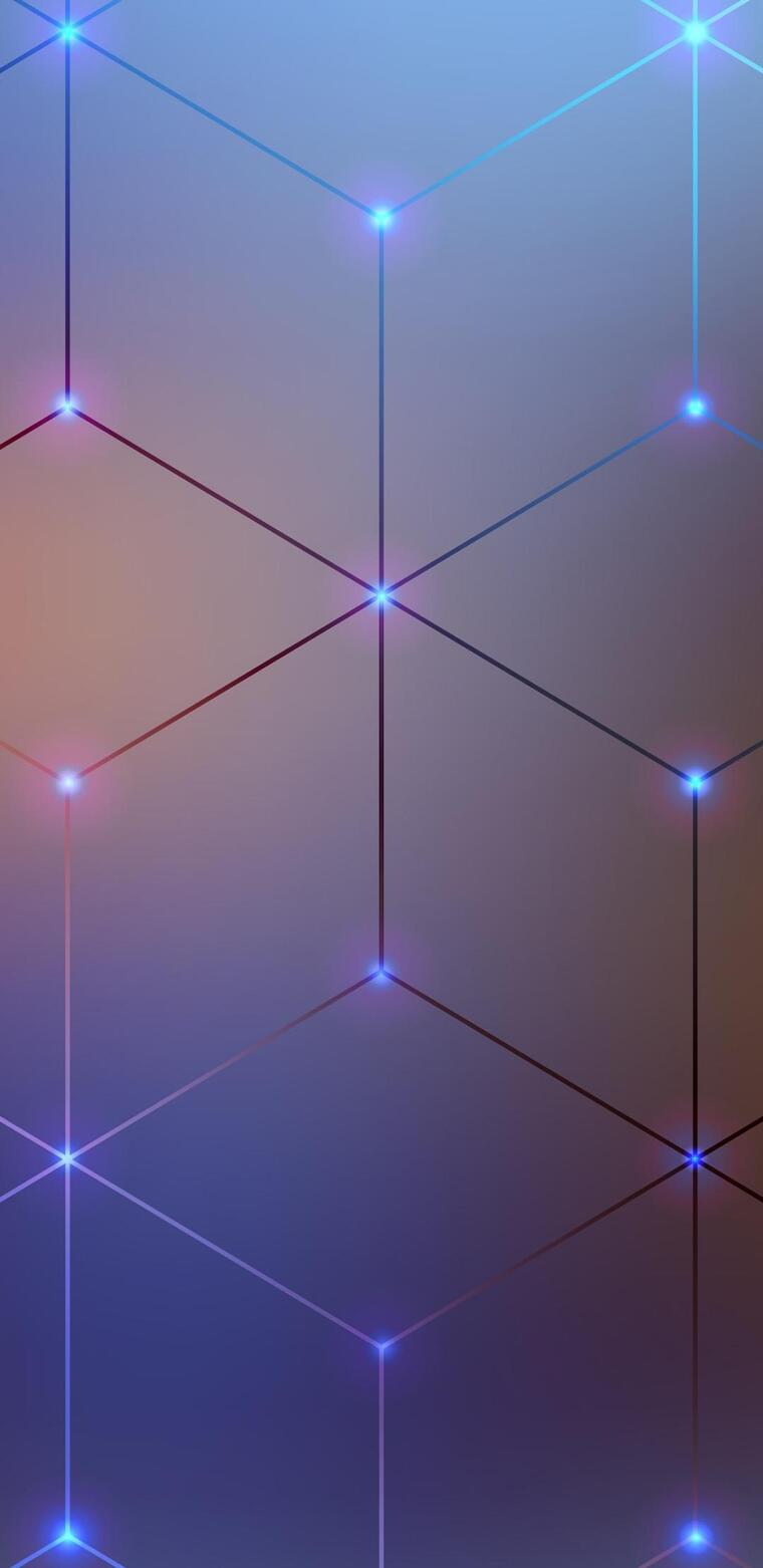 HaylieFoxx banner image