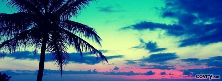 Hayven Jones banner image