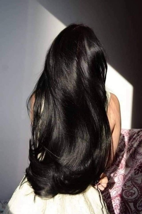 Hazra Luz cover image