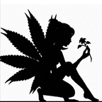Hazy May Meows avatar
