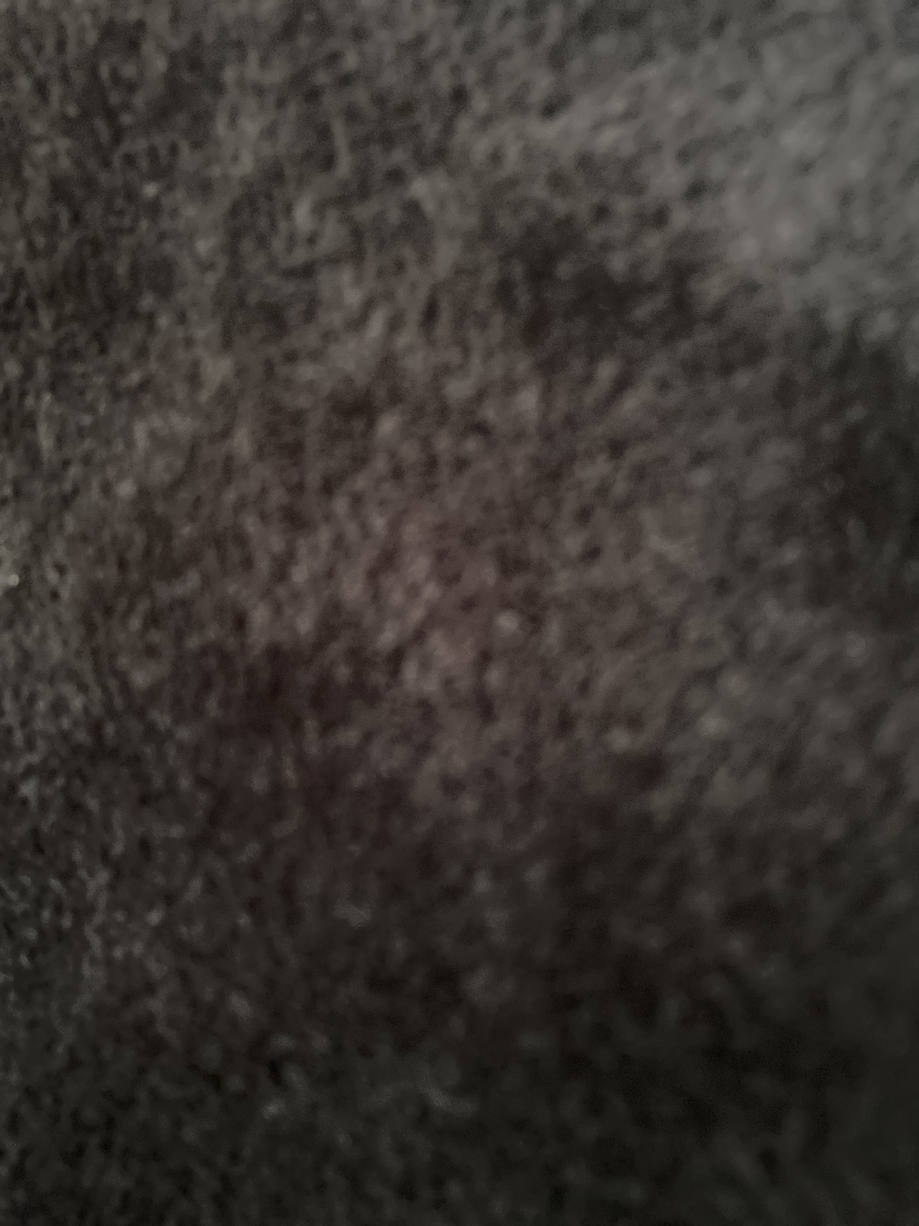 Hbic banner image