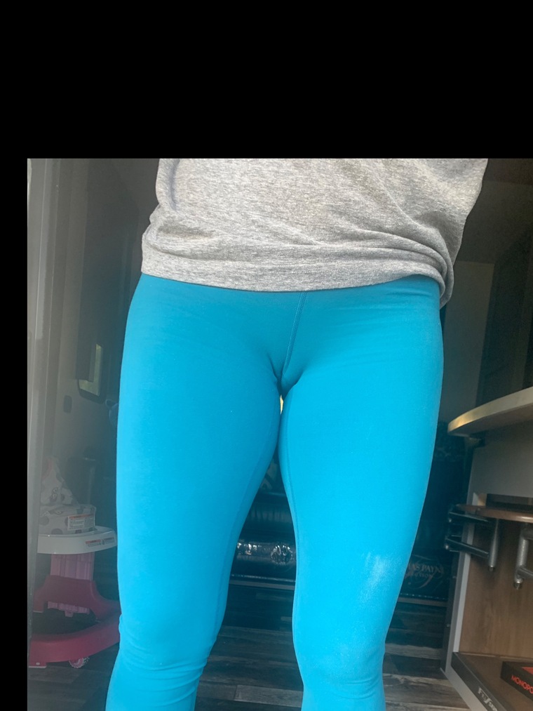 Camel Toe adventures banner image