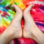 HeelsorNoHeels avatar